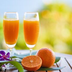 Отель Yakushima Cottage Morino Fairy Япония, Якусима - отзывы, цены и фото номеров - забронировать отель Yakushima Cottage Morino Fairy онлайн гостиничный бар