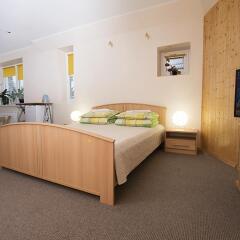 Отель Guest House Drusva Литва, Друскининкай - 1 отзыв об отеле, цены и фото номеров - забронировать отель Guest House Drusva онлайн фото 8