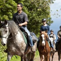 Отель Pátio Lodge Португалия, Орта - отзывы, цены и фото номеров - забронировать отель Pátio Lodge онлайн приотельная территория фото 2