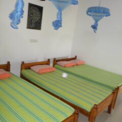 Отель Vista Rooms Dammarakkitha Road развлечения