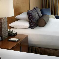 Отель Hyatt Regency Calgary Канада, Калгари - отзывы, цены и фото номеров - забронировать отель Hyatt Regency Calgary онлайн удобства в номере