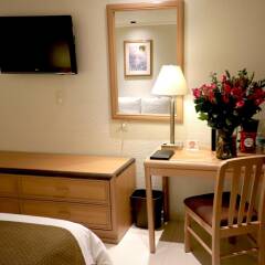Hotel Plaza Florencia Мехико удобства в номере