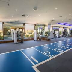 Отель Ayla Grand Hotel ОАЭ, Эль-Айн - отзывы, цены и фото номеров - забронировать отель Ayla Grand Hotel онлайн фитнесс-зал фото 3