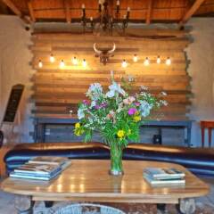 Отель Chrislin African Lodge интерьер отеля