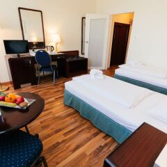 Hotel Excelsior - Central Station в номере
