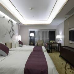 Hisoar Hotel Shenzhen Шэньчжэнь комната для гостей фото 2