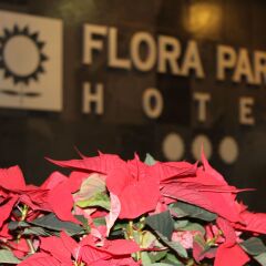 Hotel Flora Parc сауна