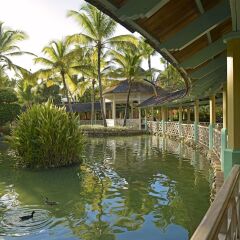 Отель Iberostar Bavaro Suites - All Inclusive Доминикана, Пунта Кана - 1 отзыв об отеле, цены и фото номеров - забронировать отель Iberostar Bavaro Suites - All Inclusive онлайн приотельная территория