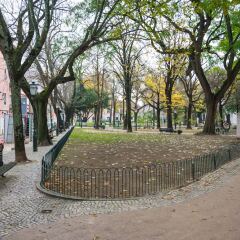 Отель The Mulberry Tree Lisbon Hostel Португалия, Лиссабон - отзывы, цены и фото номеров - забронировать отель The Mulberry Tree Lisbon Hostel онлайн