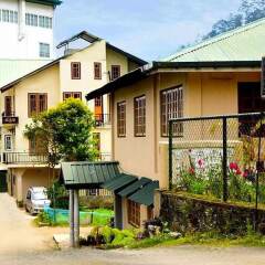 Отель Clouds Meadow Inn Шри-Ланка, Нувара-Элия - отзывы, цены и фото номеров - забронировать отель Clouds Meadow Inn онлайн фото 3