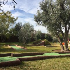 Отель Les Jardins de Zyriab развлечения