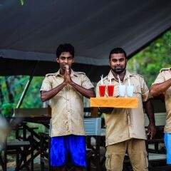 Отель Yala Safari Camping развлечения
