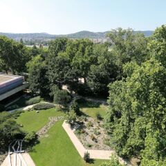 Отель Danubius Health Spa Resort Margitsziget фото 8