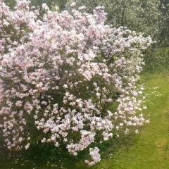 Отель B&B Le Verger Бельгия, Брюссель - отзывы, цены и фото номеров - забронировать отель B&B Le Verger онлайн