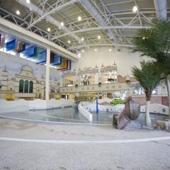 Отель Phoenix Pyeongchang Hotel Южная Корея, Пхёнчан - отзывы, цены и фото номеров - забронировать отель Phoenix Pyeongchang Hotel онлайн фото 7