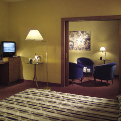 Panoramic Hotel Plaza Падуя удобства в номере фото 2
