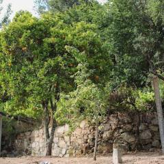 Отель Quinta do Sobreiro Португалия, Марку-ди-Канавезиш - отзывы, цены и фото номеров - забронировать отель Quinta do Sobreiro онлайн фото 3