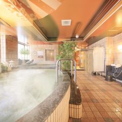 Отель Capsule and Sauna Oriental Япония, Токио - отзывы, цены и фото номеров - забронировать отель Capsule and Sauna Oriental онлайн бассейн фото 2