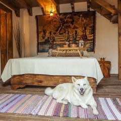 Отель Villanonna Suites & Hammam Родос с домашними животными