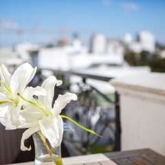 Отель Hôtel & Spa Le Doge пляж