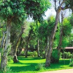 Отель Le Dune Blu Resort Сан-Фердинандо фото 3