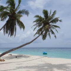 Отель Beach Heaven Maldives Мальдивы, Хураа - отзывы, цены и фото номеров - забронировать отель Beach Heaven Maldives онлайн пляж