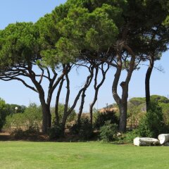 Отель Alfamar Beach & Sport Resort Албуфейра фото 9