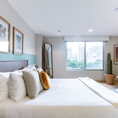Отель Incredible and Spacious 2BR 2BA Apt in Polanco Мехико фото 7