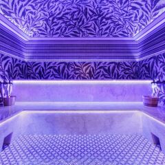 Гостиница Palmira Business Club бассейн фото 2