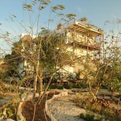 Отель Casa Blatha Holbox