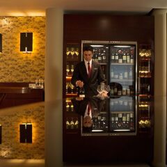 Terra Nostra Garden Hotel гостиничный бар