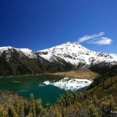 Отель Fundo Laguna Blanca фото 5