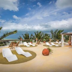 Отель Beachfront Hotel La Palapa - Adults Only Мексика, Остров Ольбокс - отзывы, цены и фото номеров - забронировать отель Beachfront Hotel La Palapa - Adults Only онлайн детские мероприятия фото 2