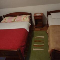 Guest House Milena Vučinić in Zabljak, Montenegro from 45$, photos, reviews - zenhotels.com room amenities