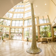 Отель California Palace фитнесс-зал