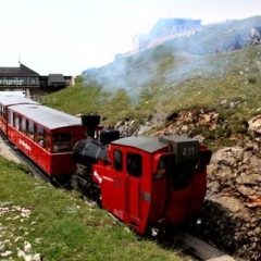 Schwarzes Roessl Hotel детские мероприятия