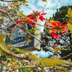 Отель Dalat Train Villa Далат приотельная территория