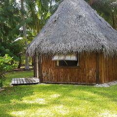 Blue Heaven Island in Bora Bora, French Polynesia from 170$, photos, reviews - zenhotels.com pool