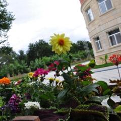 Отель Vilesh Palace Hotel Азербайджан, Масаллы - отзывы, цены и фото номеров - забронировать отель Vilesh Palace Hotel онлайн фото 2