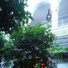 Отель Riad Jenaï Demeures du Maroc Марокко, Марракеш - отзывы, цены и фото номеров - забронировать отель Riad Jenaï Demeures du Maroc онлайн фото 10