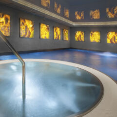 Санаторий Olympic Palace Luxury SPA с домашними животными