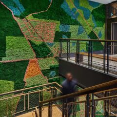 Отель Canopy by Hilton Washington DC Bethesda North балкон