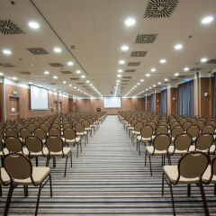 Отель Holiday Inn Krakow City Centre с домашними животными