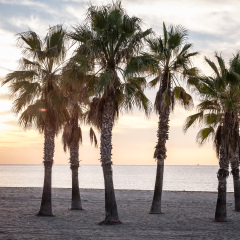 Отель Camping Vendrell Platja пляж фото 2