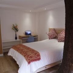 Отель Coyoacan-inn Guesthouse Мексика, Мехико - отзывы, цены и фото номеров - забронировать отель Coyoacan-inn Guesthouse онлайн фото 4