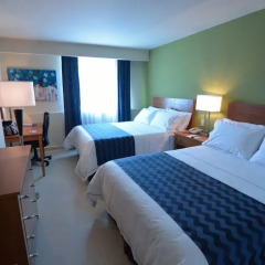 Отель Holiday Inn Express Cabo San Lucas Мексика, Кабо-Сан-Лукас - отзывы, цены и фото номеров - забронировать отель Holiday Inn Express Cabo San Lucas онлайн комната для гостей фото 2