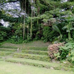 Отель Yap Pacific Dive Resort Федеративные Штаты Микронезии, Яп - отзывы, цены и фото номеров - забронировать отель Yap Pacific Dive Resort онлайн фото 6