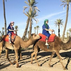 Отель Riad Dar Aby Марокко, Марракеш - отзывы, цены и фото номеров - забронировать отель Riad Dar Aby онлайн фитнесс-зал