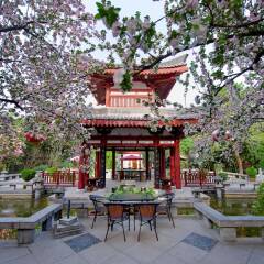 Отель Tang Dynasty Art Garden Китай, Сиань - отзывы, цены и фото номеров - забронировать отель Tang Dynasty Art Garden онлайн фото 3