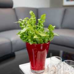 Visithomes Tórshavn Apart Hotel комната для гостей фото 5